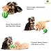 SunGrow Teething Treat Chew Ball for Rabbit, Ferret, Guinea Pig, Puppy, Kitten Tooth Clearing Puzzle Treat Dispenser, Aquarium Fish Bloodworm & Snack Holder, 2.75 inches