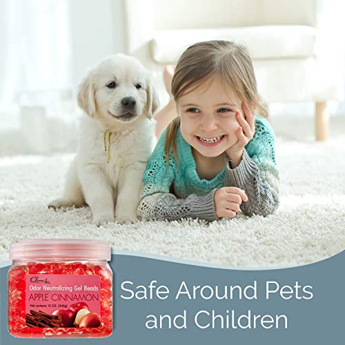Clear Air Odor Eliminator Gel Beads Eliminates Odors in Bathrooms, Cars, Boats, RVs & Pet