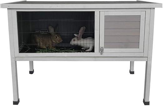 rabbit coops