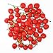 WsCrafts 50Pcs Artificial Lifelike Simulation Cherries for Home Decoration - Simulation Fruit Kitchen Decoration - Christmas Display