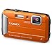 Panasonic DMC-TS30 LUMIX Active Lifestyle Tough Camera (Orange)