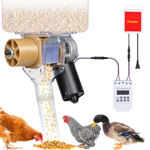 PAUQRWIE Timed Poultry Feeder