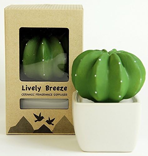 LIVELY BREEZE Ceramic Home Fragrance Diffuser (Green Dotti Cactus)