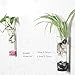 Siyaglass Pack of 2 Crystal Glass Wall Hanging Flower Vase Planter Terrarium Container Flower Pot Cylinder Shape