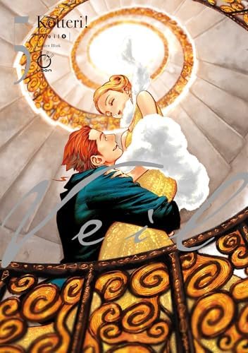 Amazon.com: Veil nº 05: 9788411618236: Kotteri, Reimondo Saá