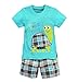 CRAZY GOTEND Toddler Boy Cotton Summer Short Sleeve T-Shirt and Short Set (Blue, 2-3T)