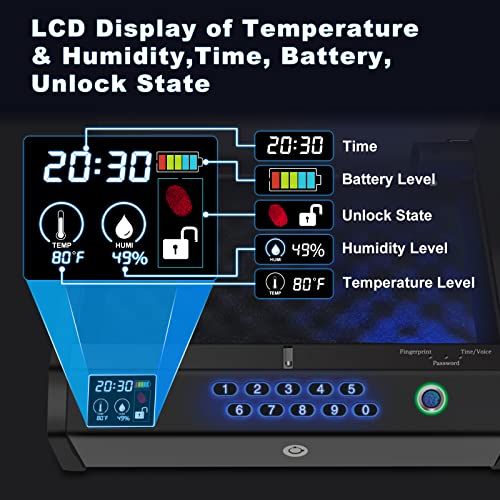 HOLEWOR Gun Safe,Biometric Gun Safes for Pistols with LCD Display of