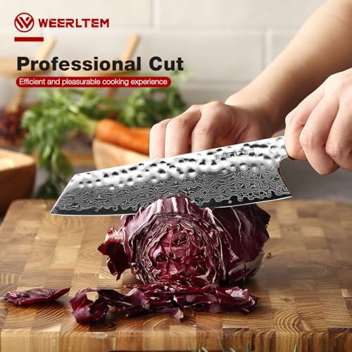 WEERLTEM Damascus Chef Knife, Upgraded 8 Inch Professional VG10 Damascus steel Japanese Kiritsuke Knife, Ultra Sharp 67-Layer Damascus Kitchen Knife with Octagonal Red Sandalwood Handle & Gift Box