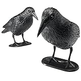 Shrocko 2 Jumbo Realistic Looking Crows For Halloween Home Décor and Party Decorations Decor. Bats Are Sold Separately