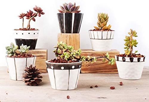 Ordso - Macetas pequeñas de cerámica para Plantas suculentas ...