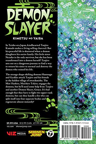 Demon Slayer Kimetsu No Yaiba 13 Transitions Volume 13paperback 25 Jun Readsgood