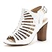 DREAM PAIRS MUMBAI New Women's Evening Dress Open Toes Chunky Mid Heels Wedding Pumps Summer Sandals