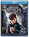 Fantastic Beasts and Where to Find Them primary