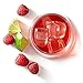 Raspberry Limeade Tea Blend by Teavana