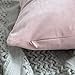 MIULEE Pack of 2 Pink Velvet Throw Pillow Covers 18x18 Inch Soft Solid Decorative Square Set Cushion Cases for Spring Couch Sofa Bedroom