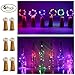 12 Pack 20 LED Wine Bottle Cork Lights, Fairy Mini String Lights Copper Wire, Battery Operated Starry Lights for DIY, Christmas, Halloween, Wedding, Party, Indoor&Outdoor (12 Pack, Multi White)