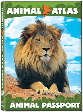 Amazon.com: Animal Atlas: Family Time : Artist Not Provided