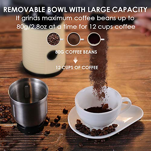 REDMOND Coffee Grinder Electric, Coffee Bean Grinder with 160W Powerful