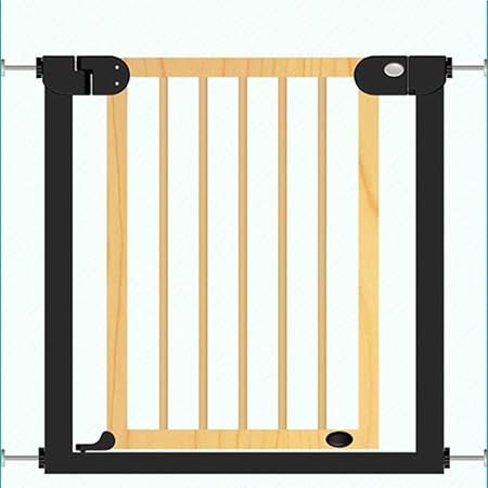 doorway gate with door