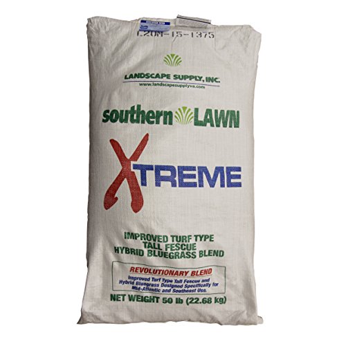 Top 10 Best Lawn Grass Seeds For Hot Weather Top Reviews No Place