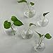 Siyaglass Set of 2 Hanging Wall Decorations Clear Succulent Plant Glass Display Vases
