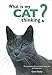 What is My Cat Thinking?: The essential guide to understanding your pet's behavior by 