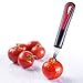 Westmark Germany Stainless Steel Tomato and Strawberry Stem Remover Corer (Red/Black)