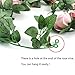 CEWOR 3pcs 22.6 Feet Fake Rose Vine Artificial Flower Garland for Wedding Home Party Garden Decoration Champagne, Pink and Hot Pink