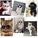 Cydnlive Cool Stylish and Funny Cute Pet Sunglasses Classic Retro Circular Metal Prince Sunglasses for Cat,Chihuahua or Small Dogs (Color May Vary)