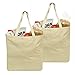 Reusable Grocery Canvas Bag - Shoulder Straps, Handles. (2-PACK | 19