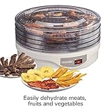 Hamilton Beach 32120