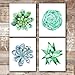 Succulent Wall Art Prints (Set of 4) - Unframed - 8x10s | Botanical Prints | Flower Wall Décor | Kitchen Wall Décor | Vintage Wall Décor | Botanical Wall Art | Aesthetic Wall Décor | Floral Wall Art
