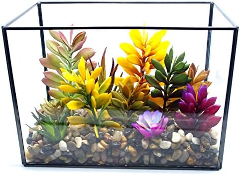 Cvens Clear Glass Terrariums,Geometric Terrariums,Geometric Air plants terrarium,Succulent planters,Artficial Plants Air Plant Geometric Terrariums Holder for Tabletop Succulent Plants Holder