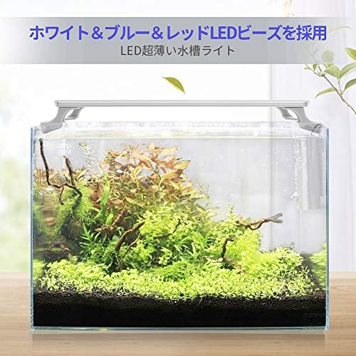 スポンサー プロダクト Joocii 水槽 ライト 30cm 水槽用3色led 照明 超薄い 水草育成 アクアリウムライト 熱帯魚 27個ビーズ 淡水 海水両用 8 5w 省エネ B07f2vp1kr 1 121円 人気海外一番 100 品質保証 全品送料無料 即日出荷 Sale開催中 スポンサー プロダクト Joocii 水槽 ライト 30cm 水槽用3色led 照明 超薄い 水草育成 アクアリウムライト 熱帯魚 27個ビーズ 淡水 海水両用 8 5w 省エネ B07f2vp1kr 1 121円 人気海外一番 100 品質保証 全品送料無料 即日出荷 Sale開催中