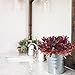 GTIDEA 4pcs Fake Plants Artificial Greenery Shrubs Plastic Red Bushes House Office Garden Patio Yard Indoor Outdoor Decor