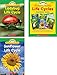 Scholastic Classroom Resources Science Vocabulary Readers, Life Cycles (SC501597)