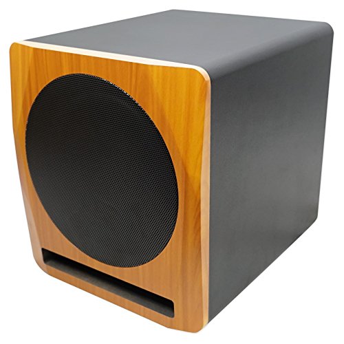 2 Rockville+APM10C+Powered+Subwoofer+Reference