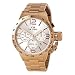 TW STEEL CB163 Stainless Steel Case Canteen Bracelet Silver Dial Rose Gold Watch