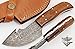 GladiatorsGuild 64 Custom Handmade Damascus Steel Skinner Hunting Knife Fixed Blade Small Skinning Knife with Gut Hook (Walnut Wood)