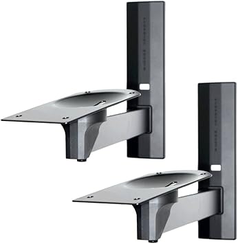 speaker platform mount