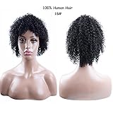 Befunny Curly Wigs for Black Women Short Jerry Kinky Afro Human Hair Wigs For Women Soft Fluffy None Lace Black Hair Wigs (1B#)