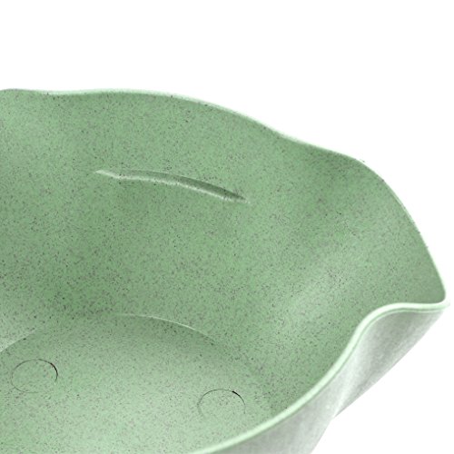 Pistachio Bowl - Double Dish Nut Bowl with Pistachios Shell Storage, Green - Happy Hours
