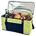 Picnic at Ascot 64 Can Capacity Semi Rigid Collapsible Leakproof Cooler- Designed & Quality Approved in the USA