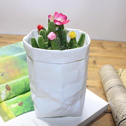 Washable Kraft Paper Bag,Iusun Multifunction Reuse Bag Home Office Plant Flowers Pots Storage Bag (White, 4.7x4.7x9.0 inch)