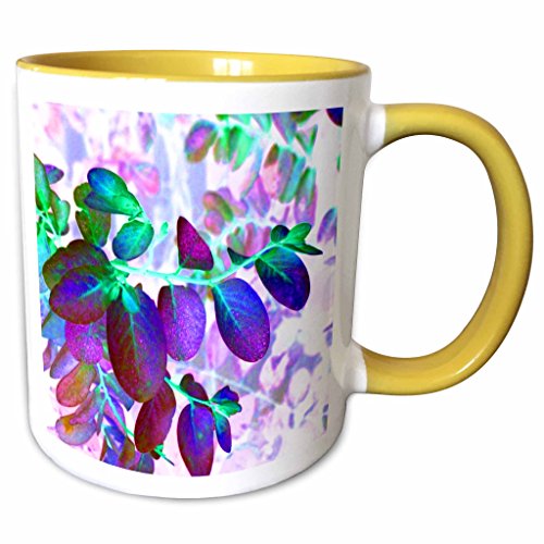 3dRose Susans Zoo Crew Photography Plant - snowbush colorful plant invert - 11oz Two-Tone Yellow Mug (mug_162232_8)