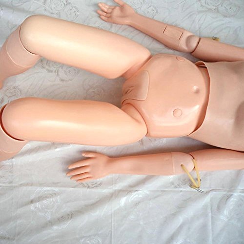 image for FanPeng Demonstration Manikin Anatomical Human Model for Nursing Medic