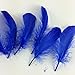 Sowder Natural Goose Feathers Clothing Accessories Pack of 100(Royal Blue)