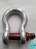 SKEMIDEX---3/4" Shackle Recovery D Ring Shackles