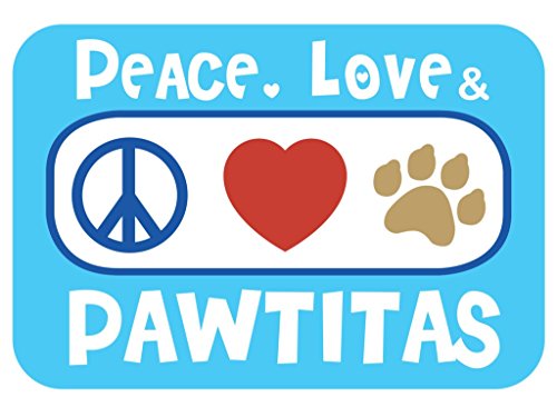 Pawtitas Pet Reflective Adjustable Soft Dog Collar Martingale Training Teal Small 5/8 Inch
