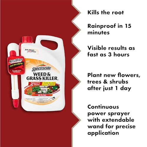 1 GAL READY-TO-USE GRASS AND WEED KILLER